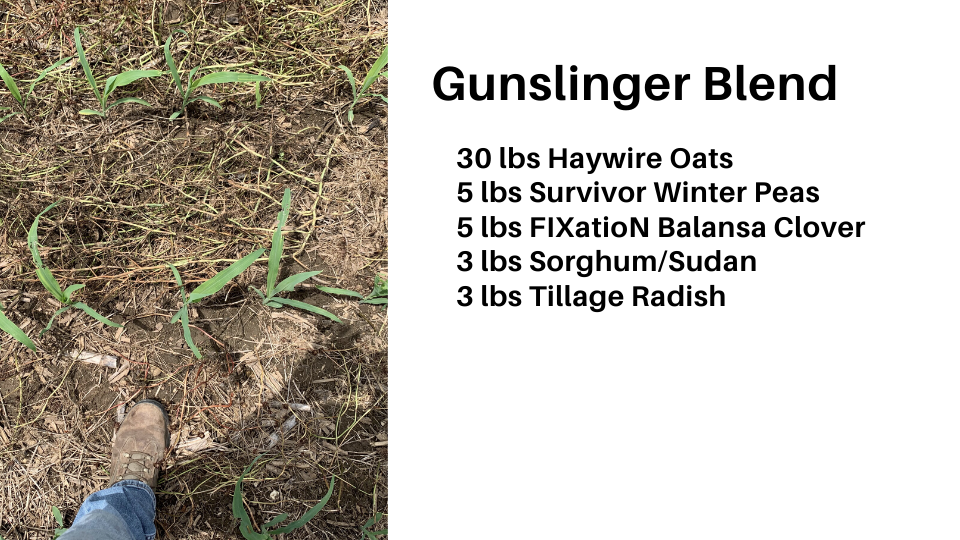 Gunslinger Blend