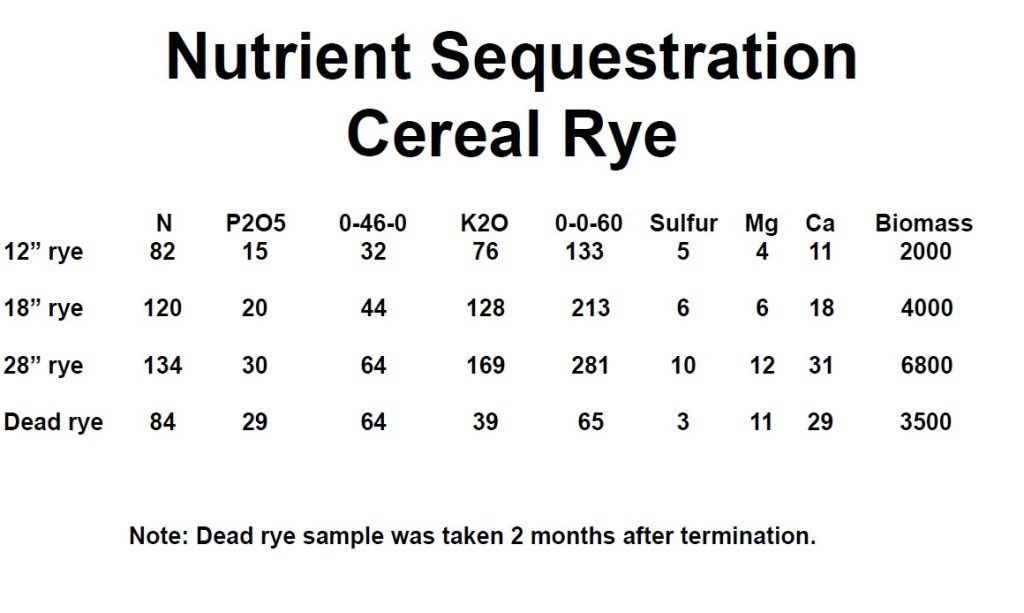 nutrient sequestration cereal rye