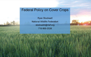 federal policy on cover crops