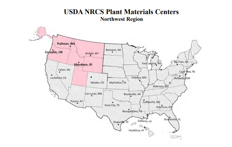 Evaluation of Cool Season Cover Crops in the Northwest Region