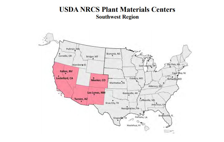 Evaluation of Cool Season Cover Crops in the Southwest Region