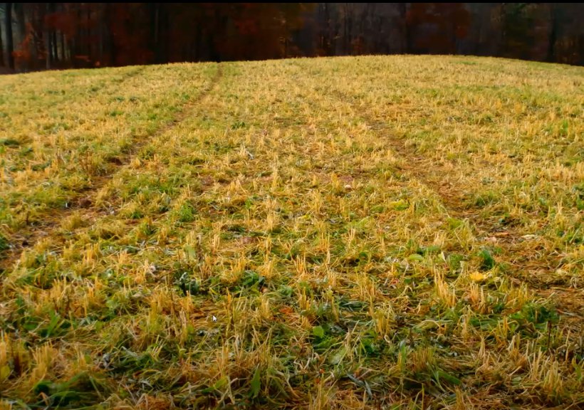 Session 2: IKW Cover Crop Webinar, January 27, 2021