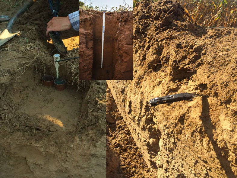 Soil Structure
