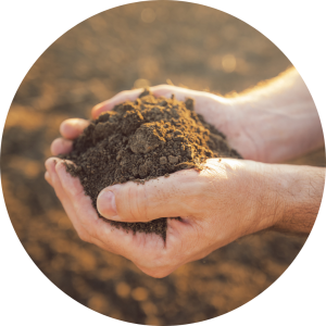 Organic biodynamic