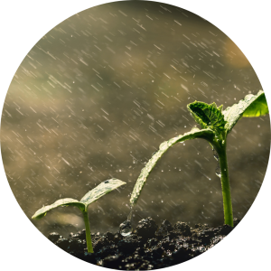 Precipitation-high