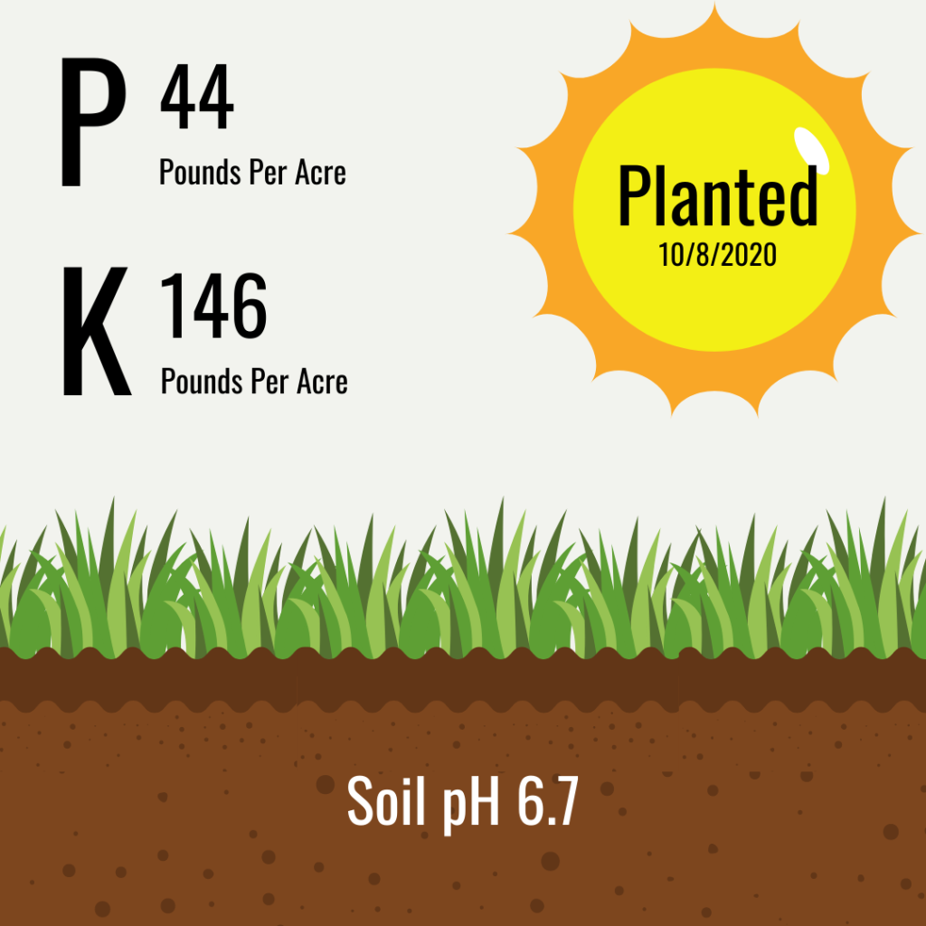 Fertilizer P & K soil test recommendations