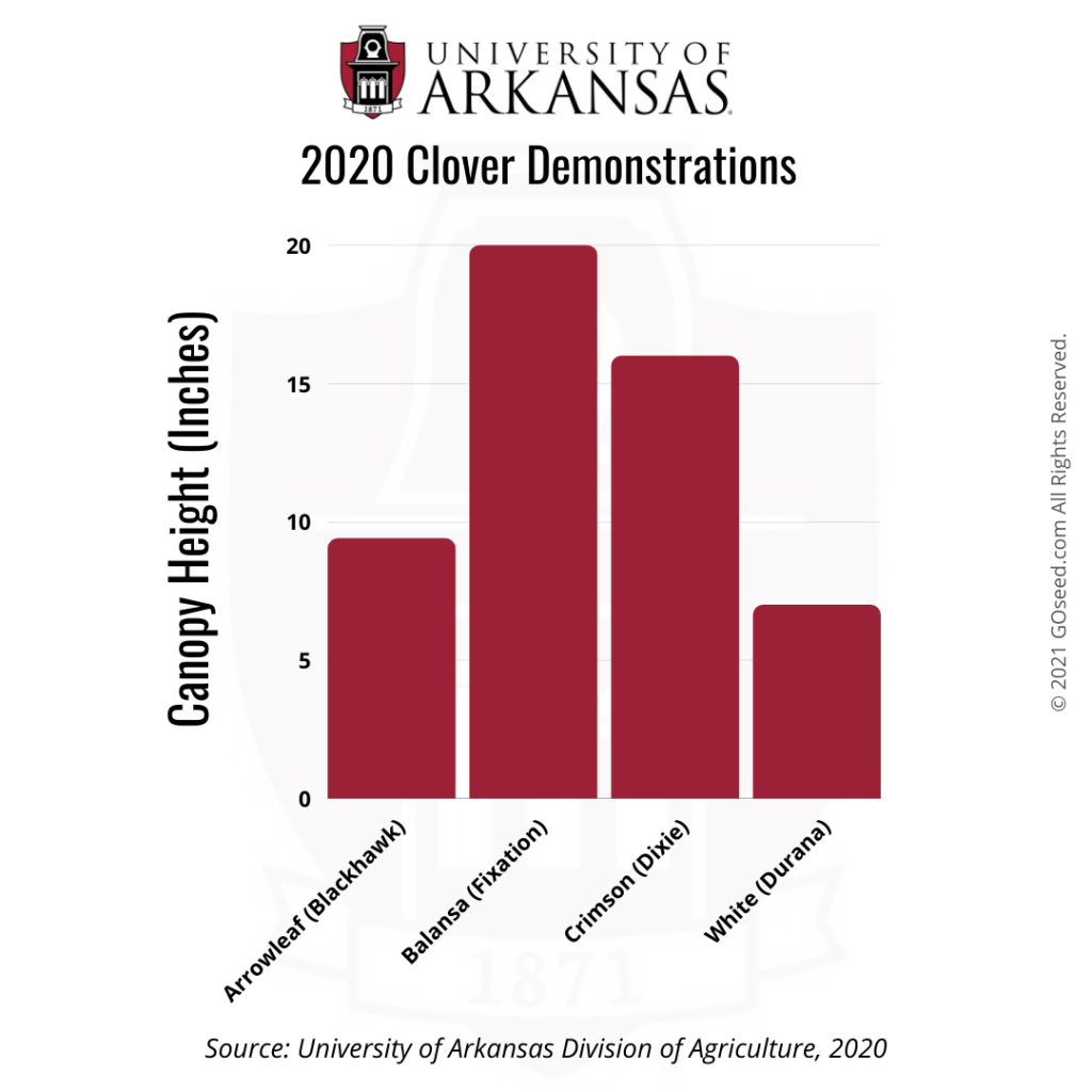 University of Arkansas Balansa Clover Demonstrations Canopy Height