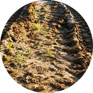 Compaction