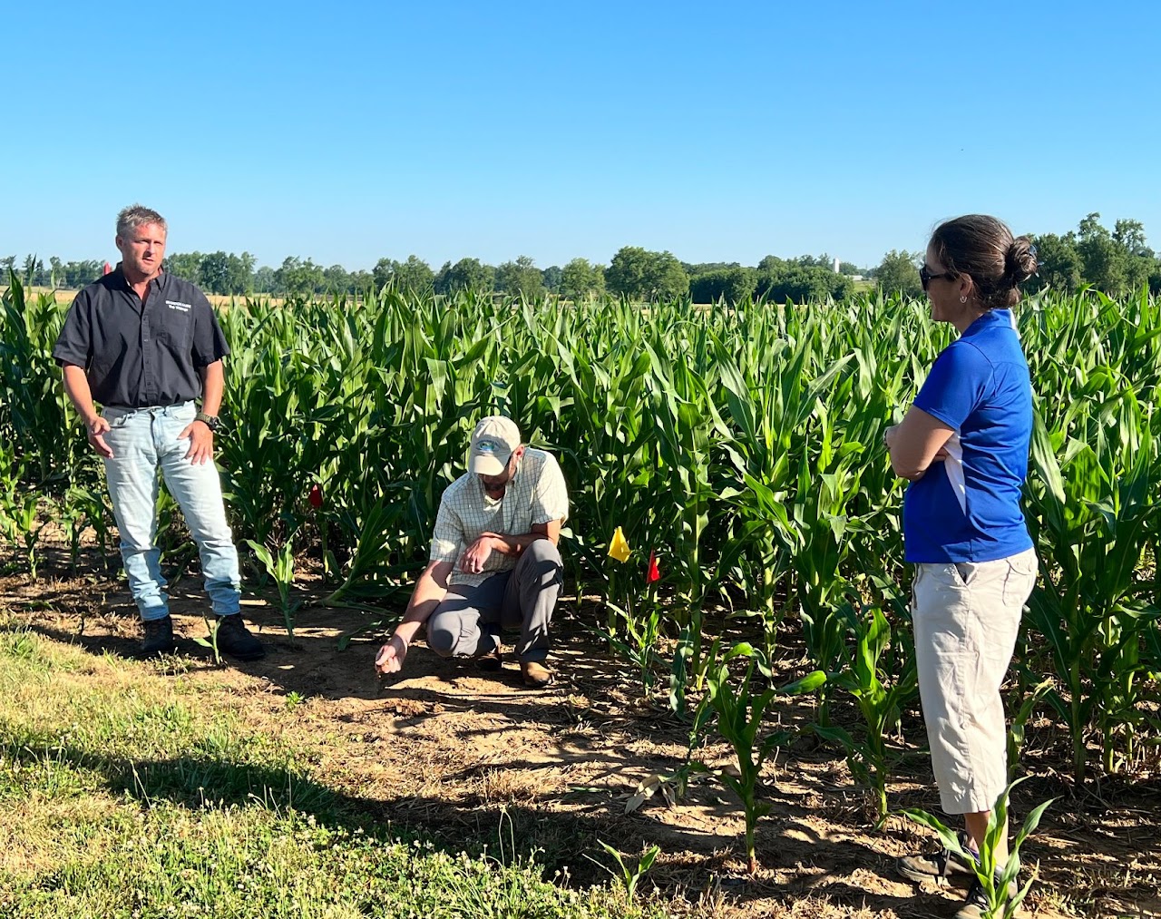 Southern Cover Crops Conference