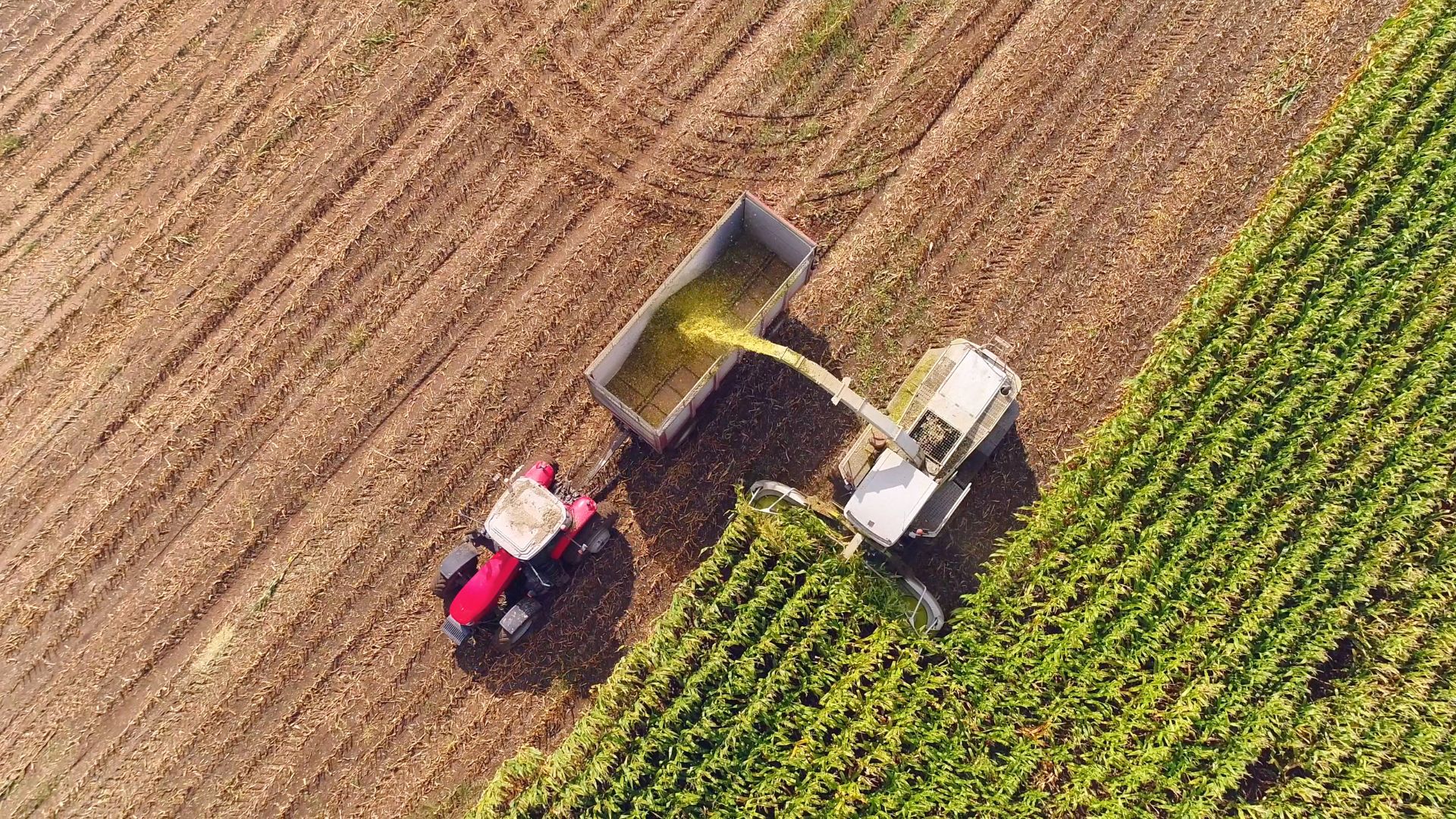 osu extension soil health event January 2023