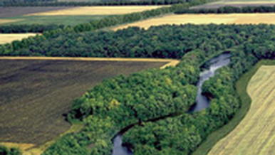 Regional Ag Forum
