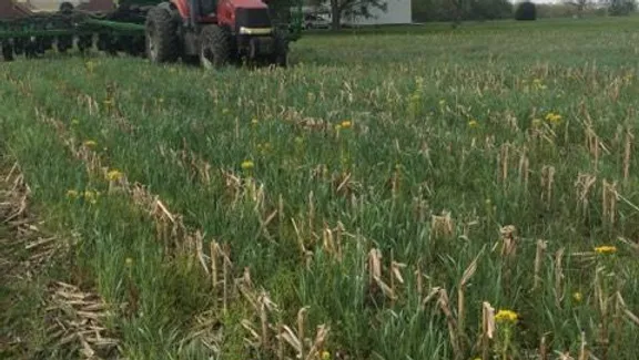 economics-of-soil-health-systems