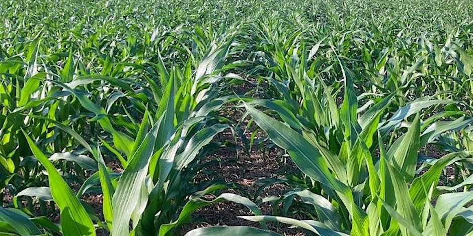 Maryland Agronomy Update Meeting