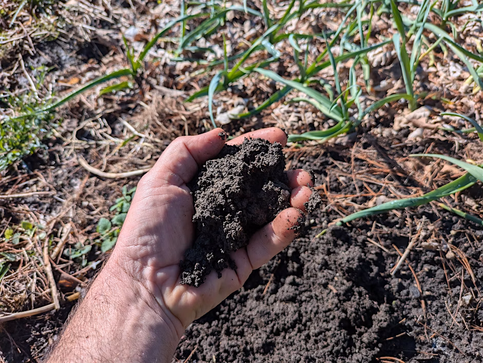 Soil Health Workshop