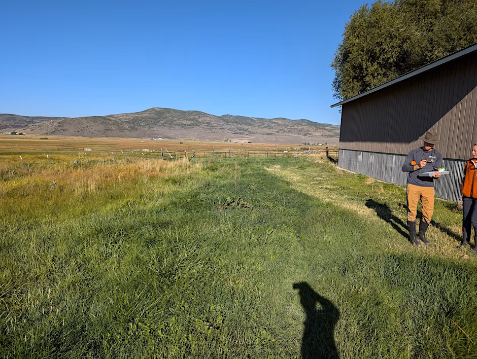 Ecological Monitoring