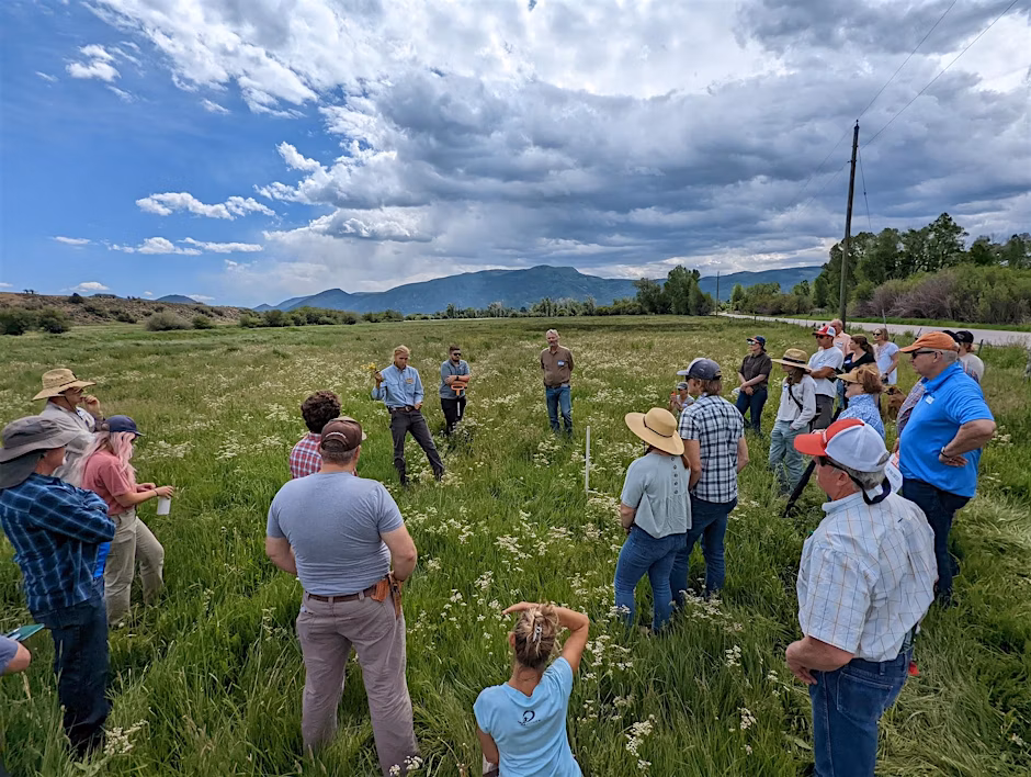 Regenerative Ranching