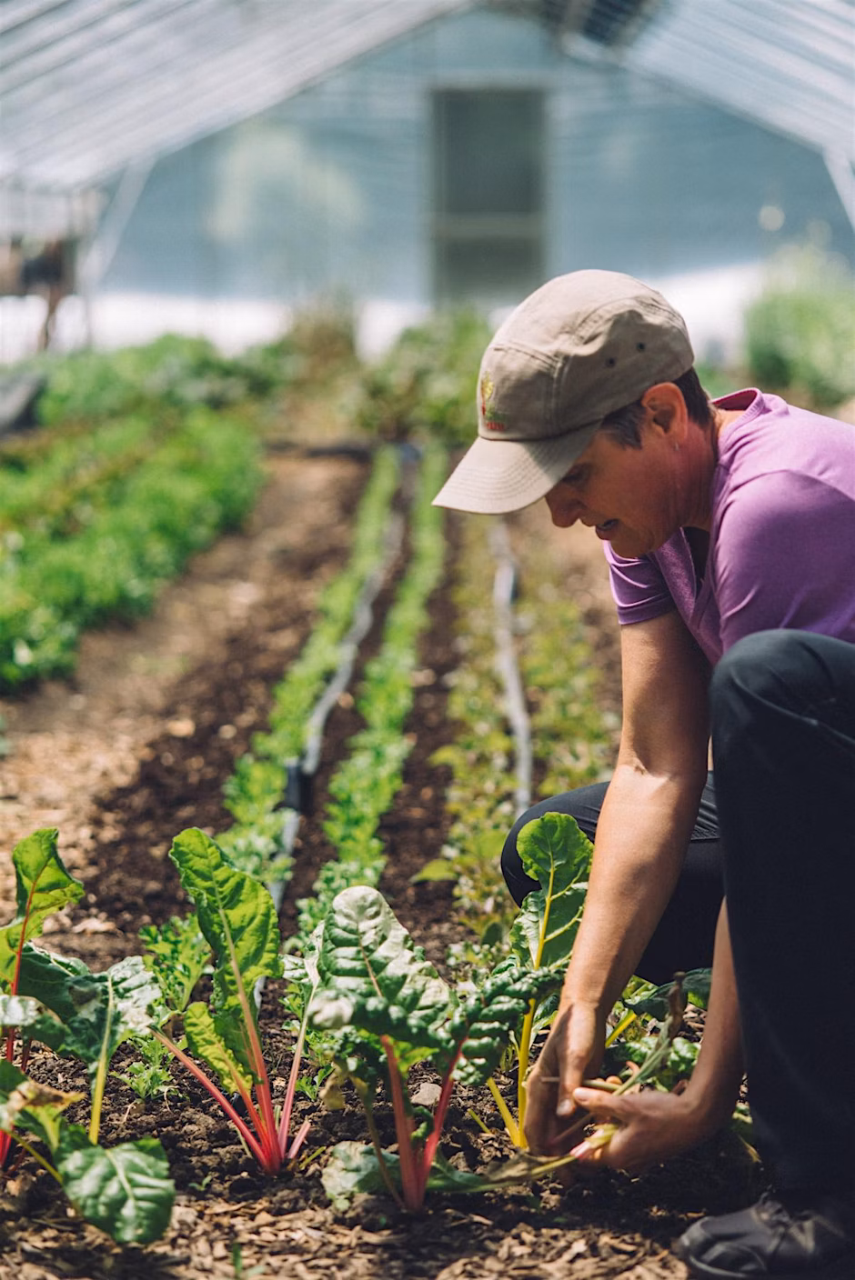 Soil Health Workshop Series