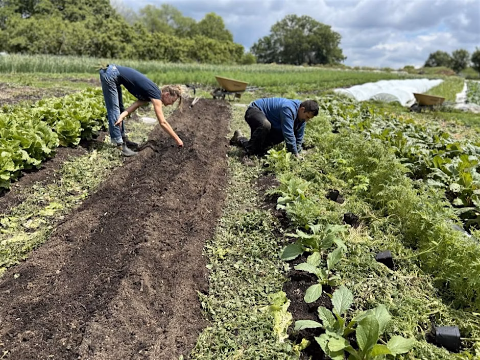 Soil Health Workshop & Farm Tour