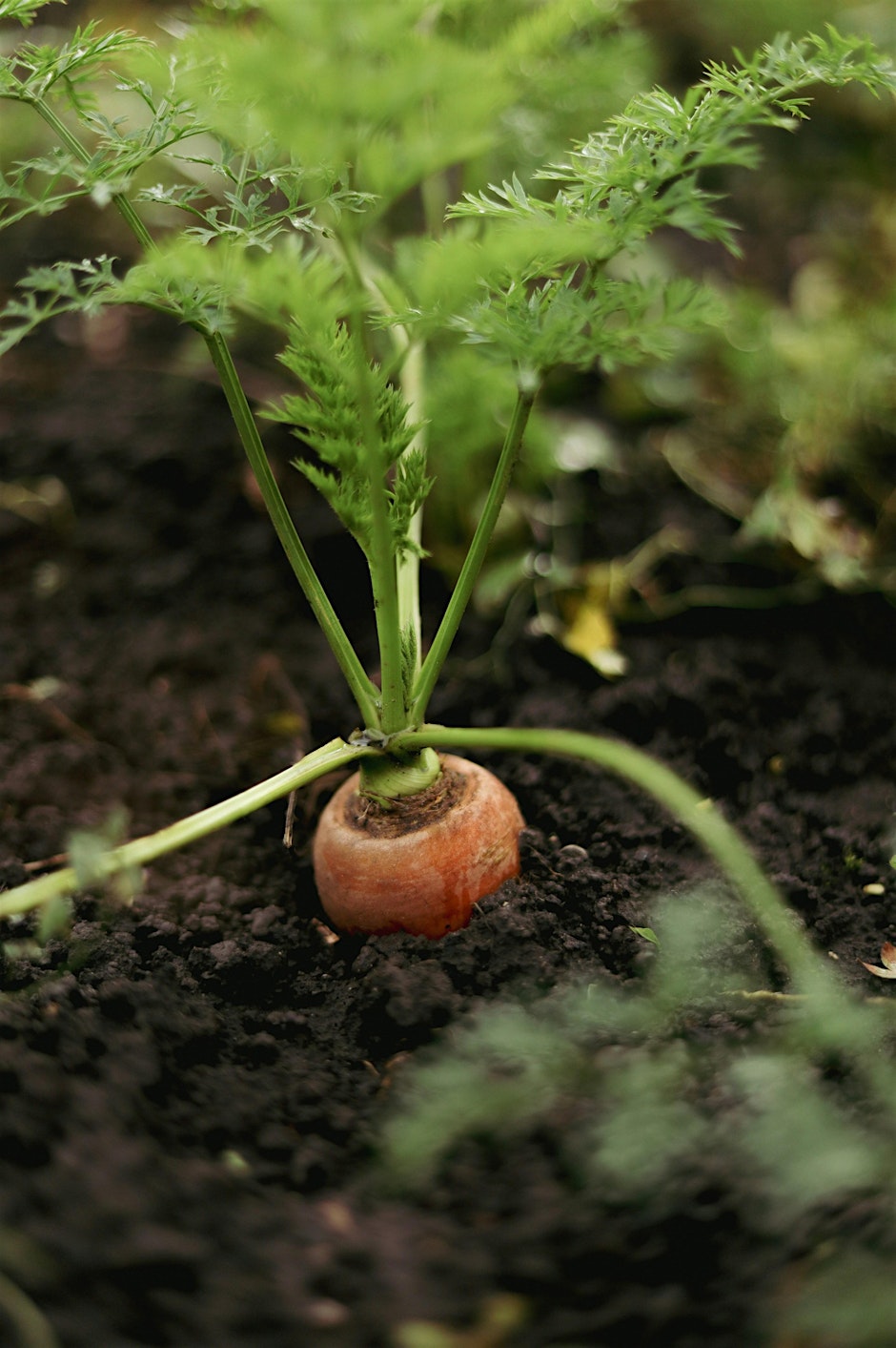 Soil Health Field Day