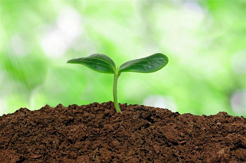 Get to Know Your Soils!